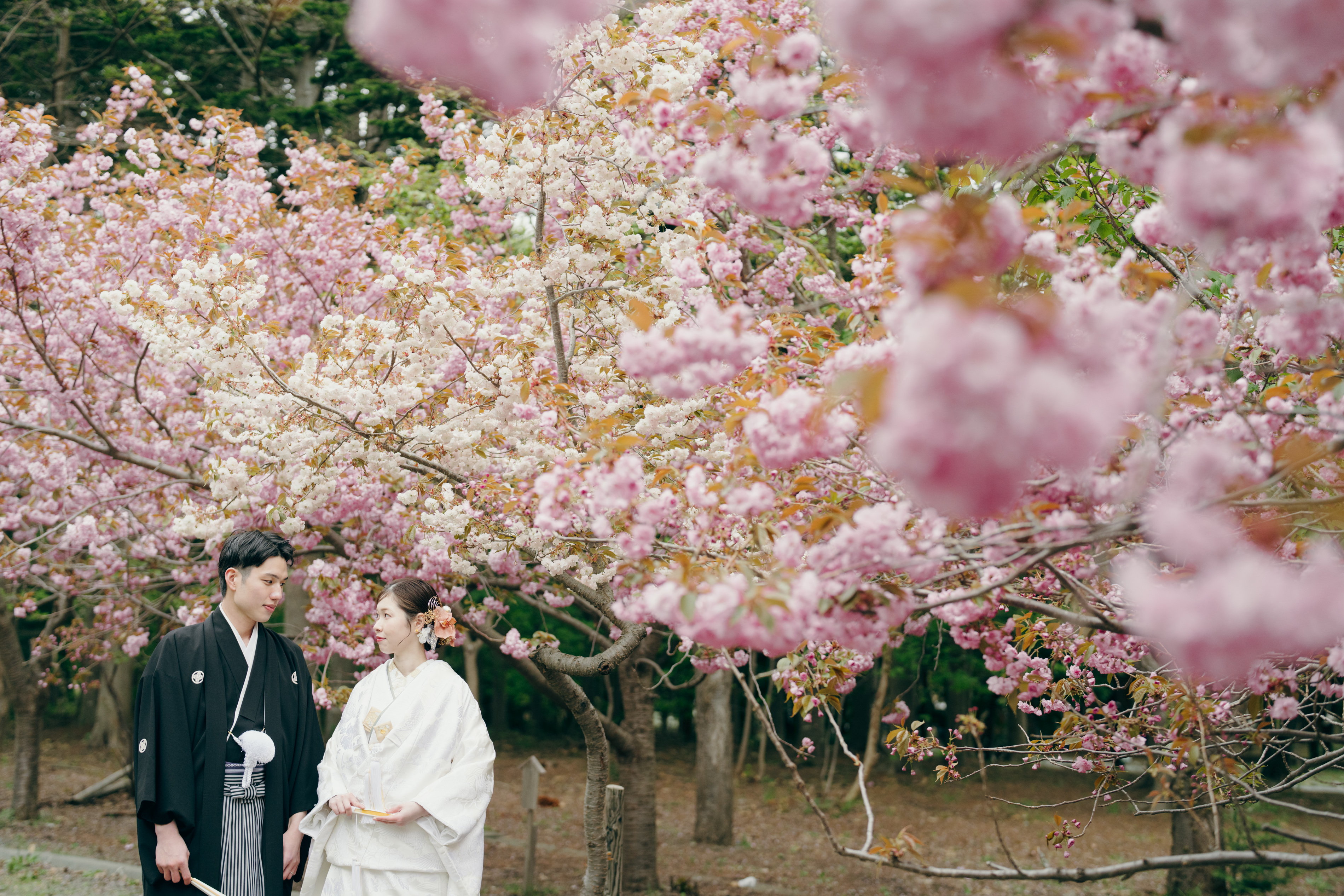 【2024.5月ウェディングレポート】春の北海道神宮で、ご親族とご友人を呼んでの素敵な和婚♪